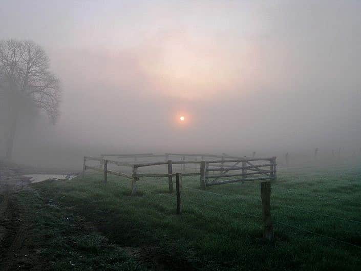 misty morning jpg