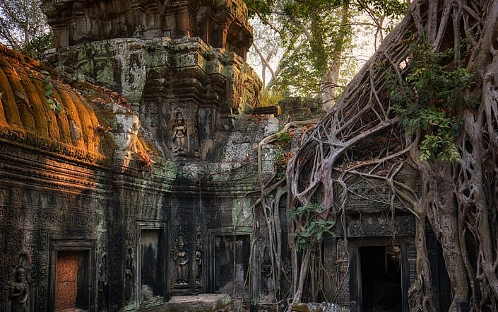 jungle temple ta prohm